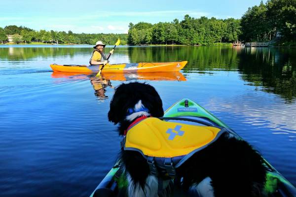 Canoeing on Lake St. George