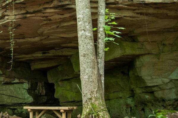 Overlook Trail @ Dorchester